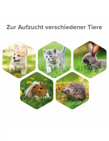 Lactol Aufzucht Set (Flasche, Bürste & Sauger)