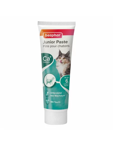 Junior Paste, 100g