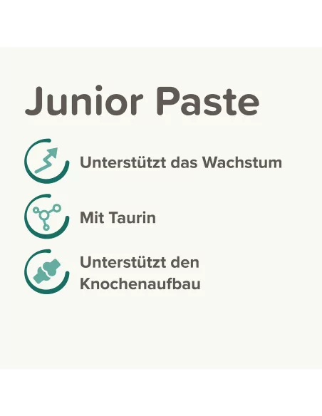 Junior Paste, 100g