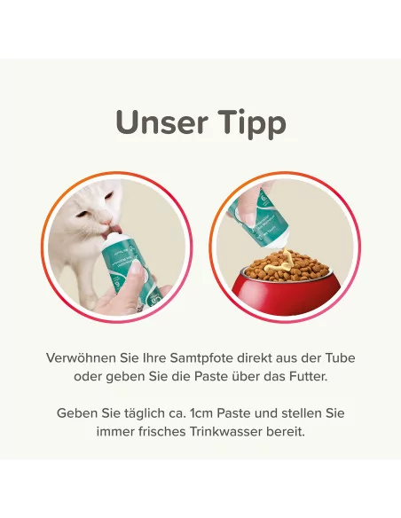 Junior Paste, 100g