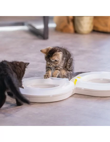 Spielschiene für Katzen
