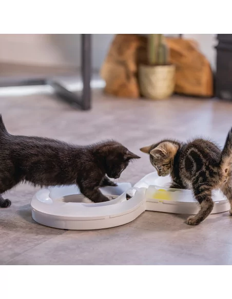beeztees Kitten Spielschiene AGTY - Beschäftigungsspielzeug