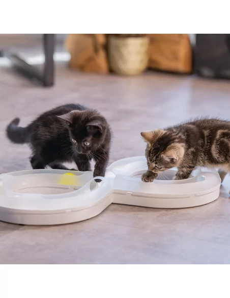 beeztees Kitten Spielschiene AGTY - Beschäftigungsspielzeug