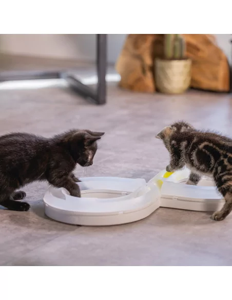 beeztees Kitten Spielschiene AGTY - Beschäftigungsspielzeug