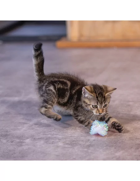 Beeztees Kitten Knister Bälle: 4 Stück Pack, Spielspaß pur für Katzen!