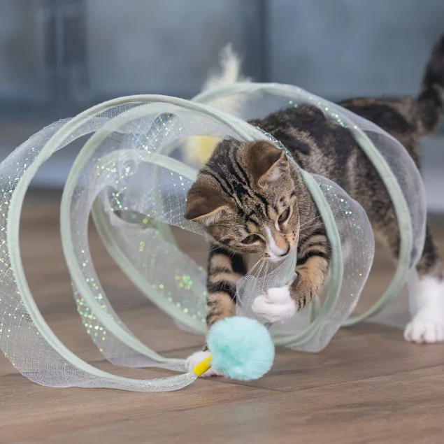Beeztees Kitten Spielspirale Gabi | meinKatzenshop