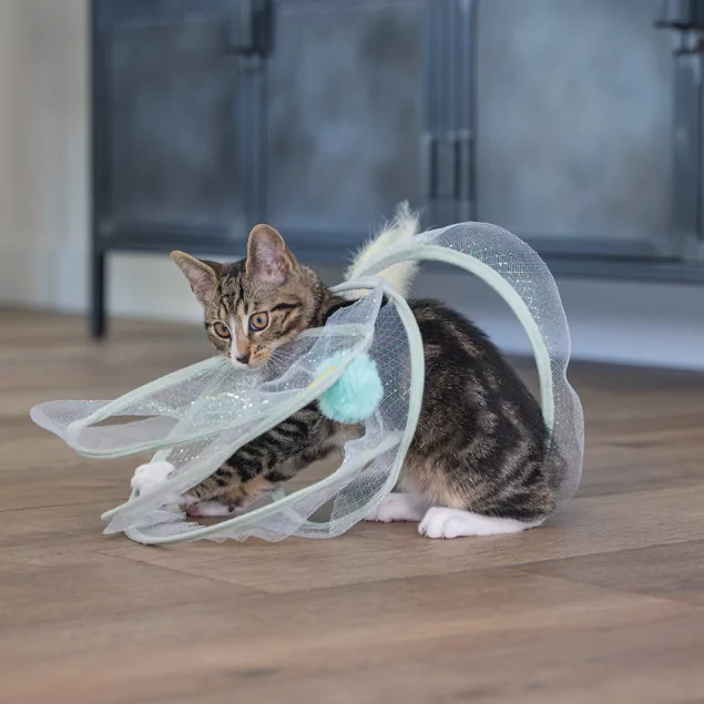 Beeztees Kitten Spielspirale Gabi | meinKatzenshop
