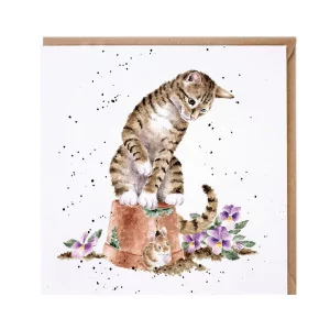 Hide and Squeak - Charmante Katzenkarte von Wrendale Designs