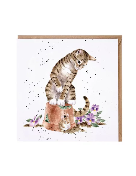 Hide and Squeak - Charmante Katzenkarte von Wrendale Designs