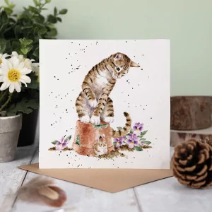 Hide and Squeak - Charmante Katzenkarte von Wrendale Designs 2