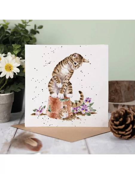 Hide and Squeak - Charmante Katzenkarte von Wrendale Designs