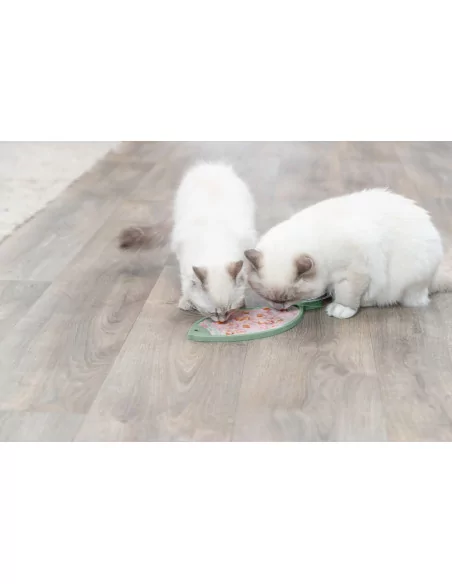 Lick'n Snack Fisch Schleckmatte aus Silikon von Trixie