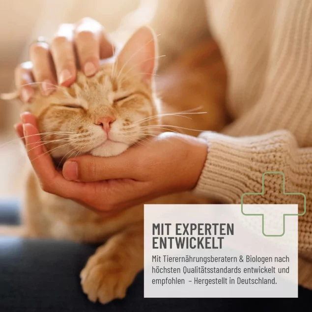 REAVET 4in1 Complete Cat 60 g - sinnvolle Futterergänzung für Katzen