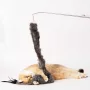 BKH Katze mit langen Spielanhänger aus Echtfell.