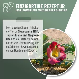 REAVET Gelenk Liquid Tropfen Katzen 2