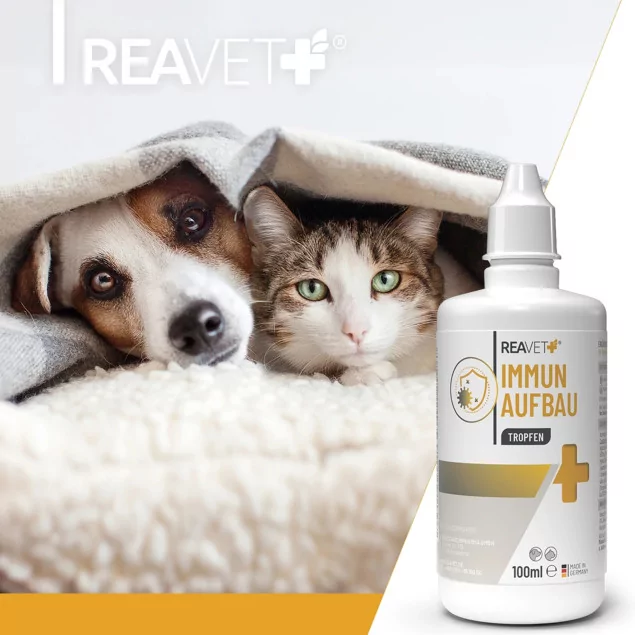 REAVET Immun-Aufbau Katzen Tropfen