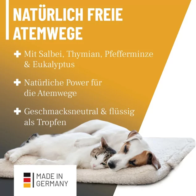 REAVET Immun-Aufbau Katzen Tropfen